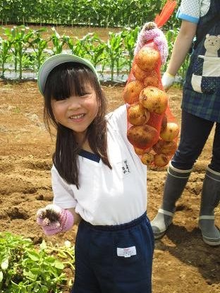 芋２６