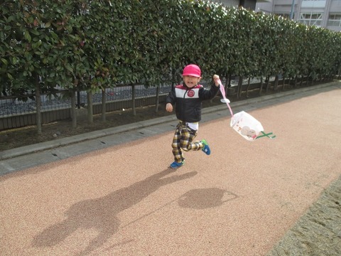 たこ４