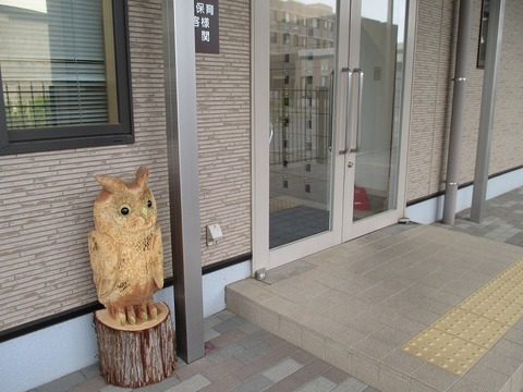 ふくろう１