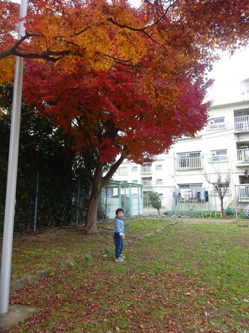 DSC02304