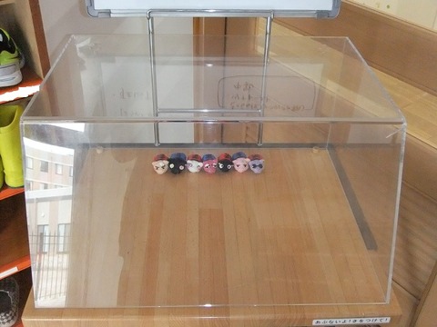 DSCF8007