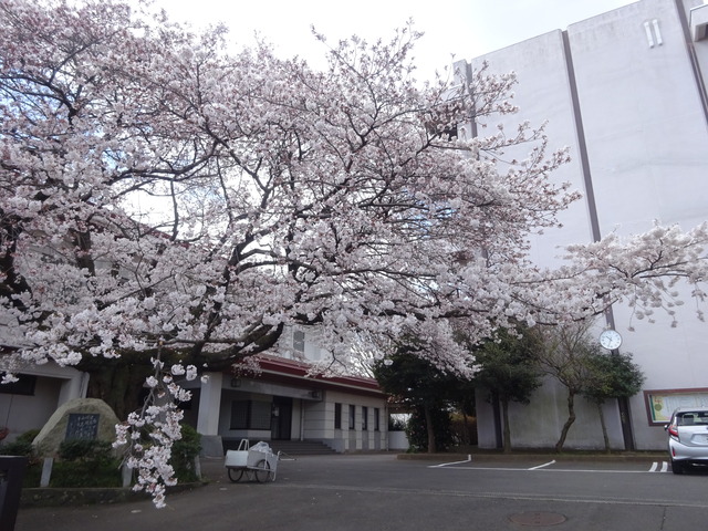 DSC03540