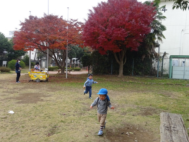 DSC02303