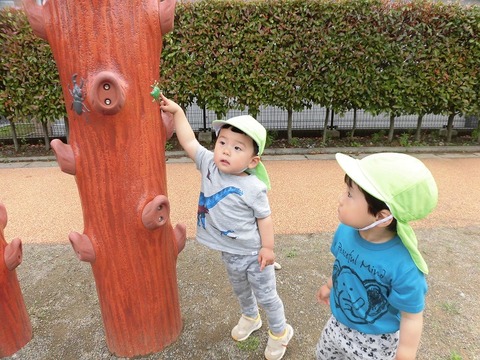 CIMG0530