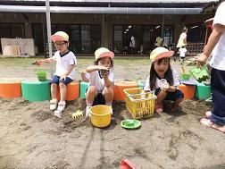 りんご　戸外遊び３