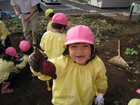 さつまいも２２