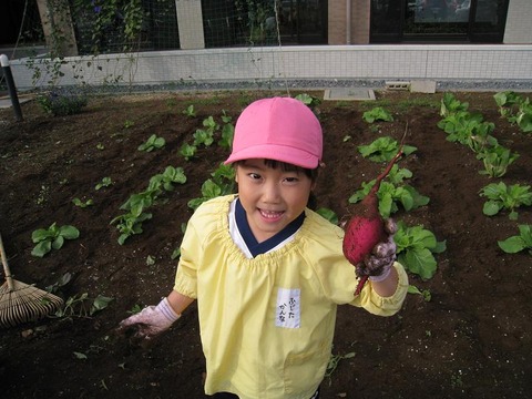 さつまいも２０