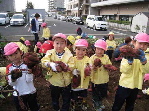 さつまいも１９