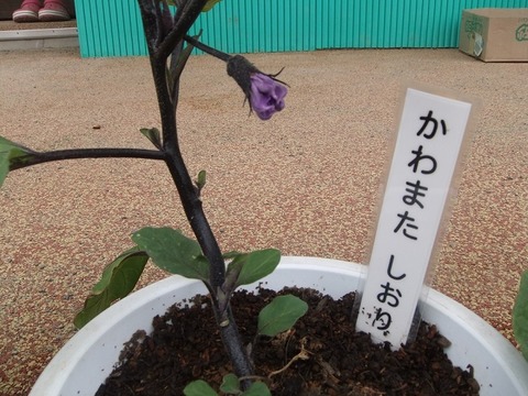 経過５