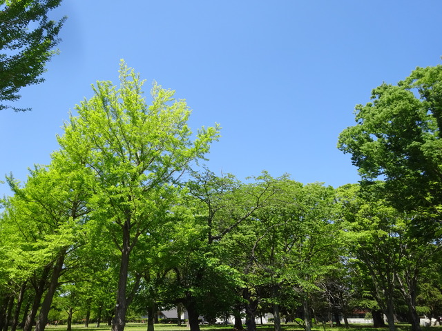 DSC03978