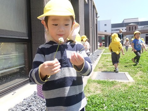 DSCF5073