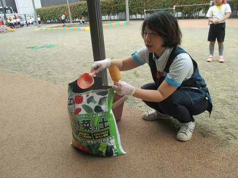 BlogPaint