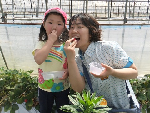 いちご㉙