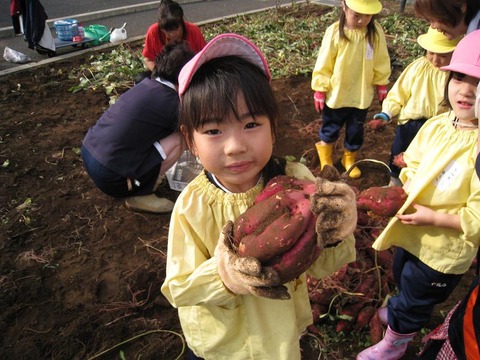 さつまいも２７
