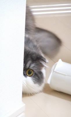 まま はやく!