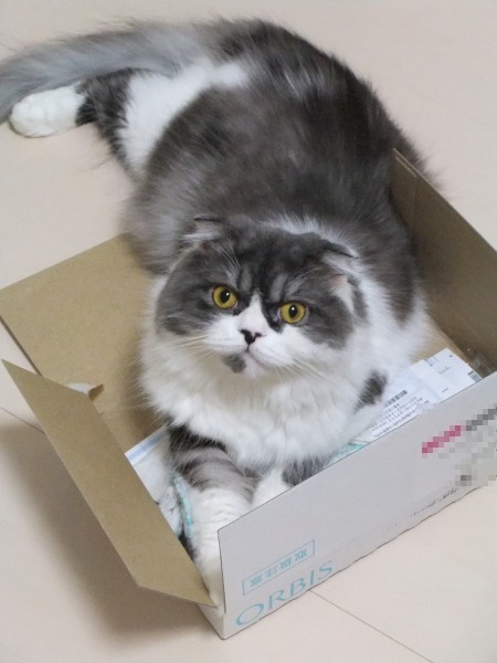 どで〜ん