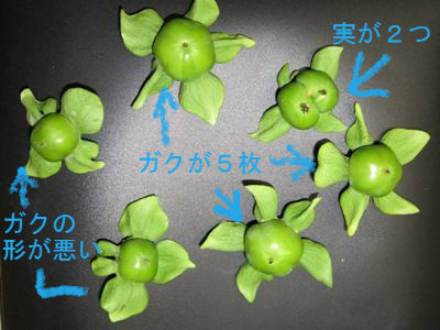 BlogPaint
