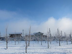 20150209_5