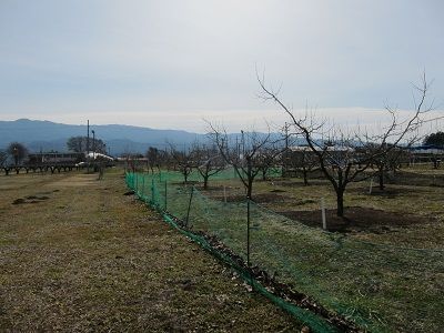20160224_4