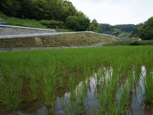 20140701_1