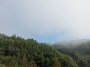 20151104_3