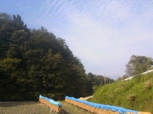 20150930_1