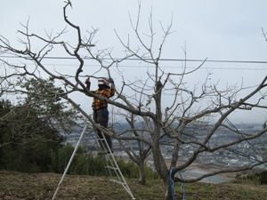 20150312_3