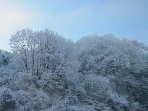 20150209_2