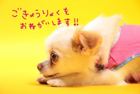 IMGM8339 - コピー (640x427)