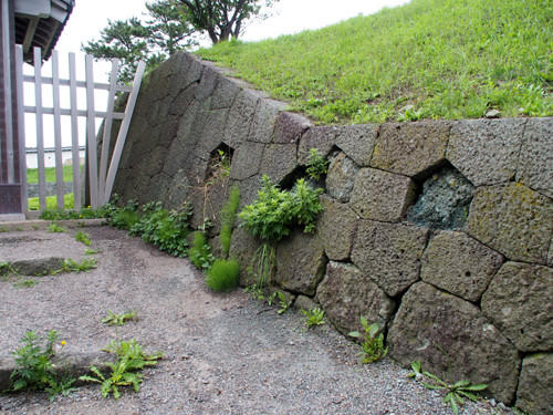 h304松前城天神坂門付近の亀甲積みの石垣
