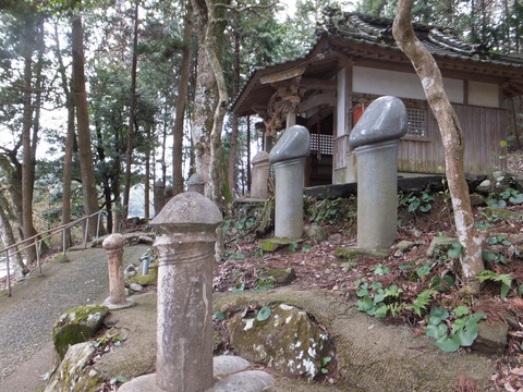 DSCF2802