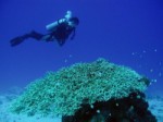 2c43b318.jpg