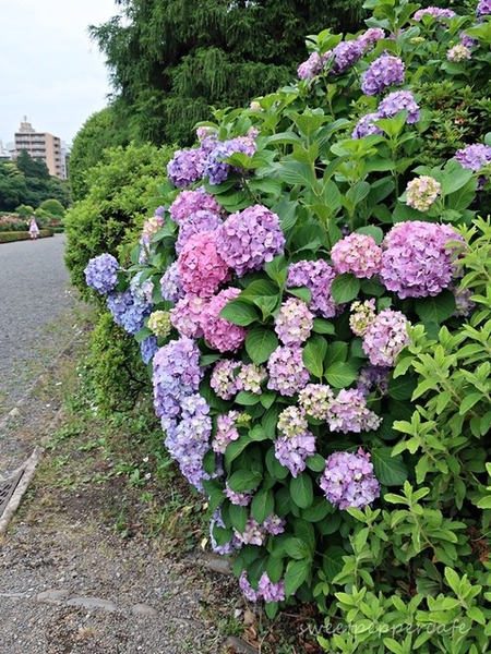 20180531-115