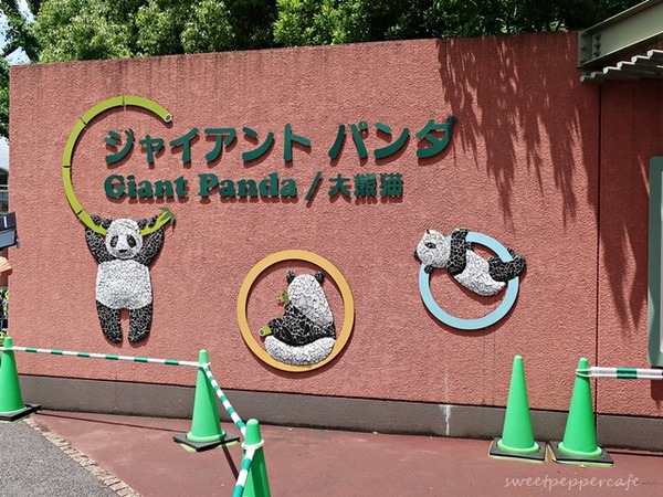 20180607-8