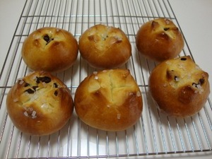 �졼����ѥ�