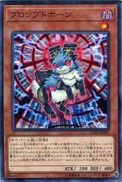 50548657