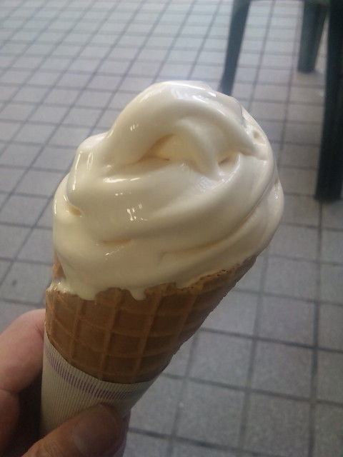 †月ウサギの食べ日記†-090807_145409.jpg