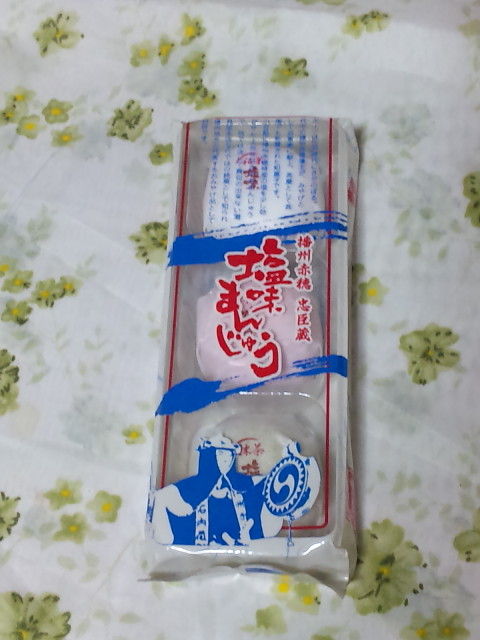 †月ウサギの食べ日記†-090818_235733.jpg