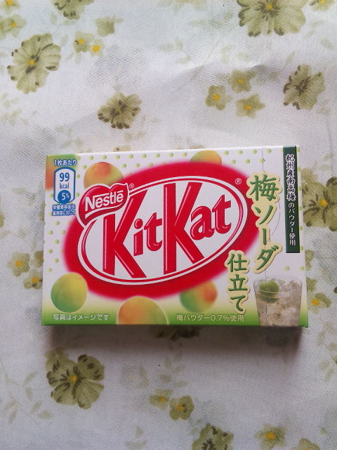 †月ウサギの食べ日記†-090801_093859.jpg