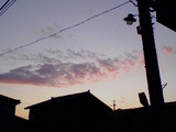 6866039f.jpg