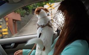 運転中
