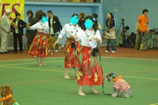 ダンス