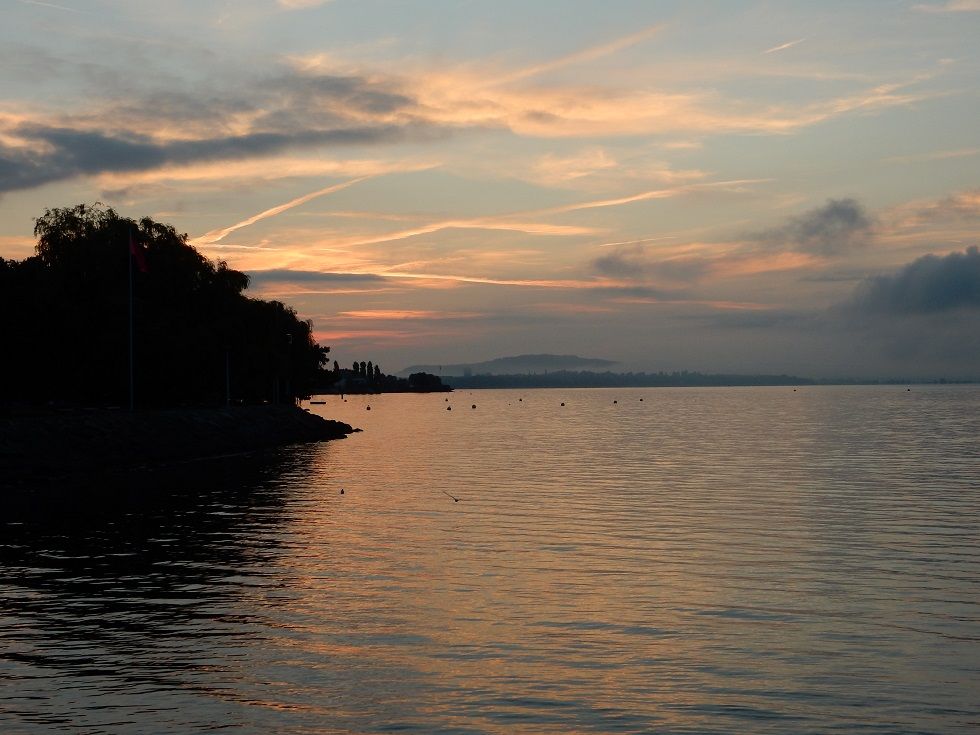 DSCN1903