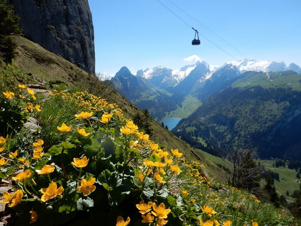 Hoher_Kasten_1