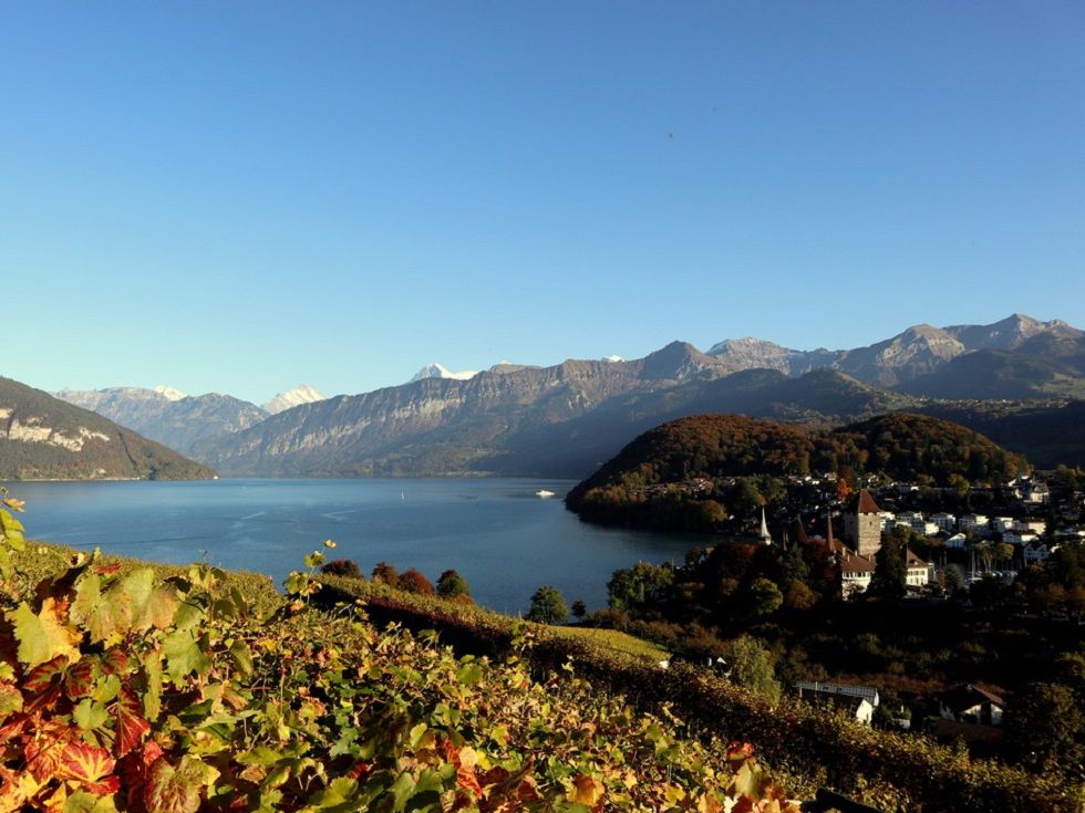 spiez_be