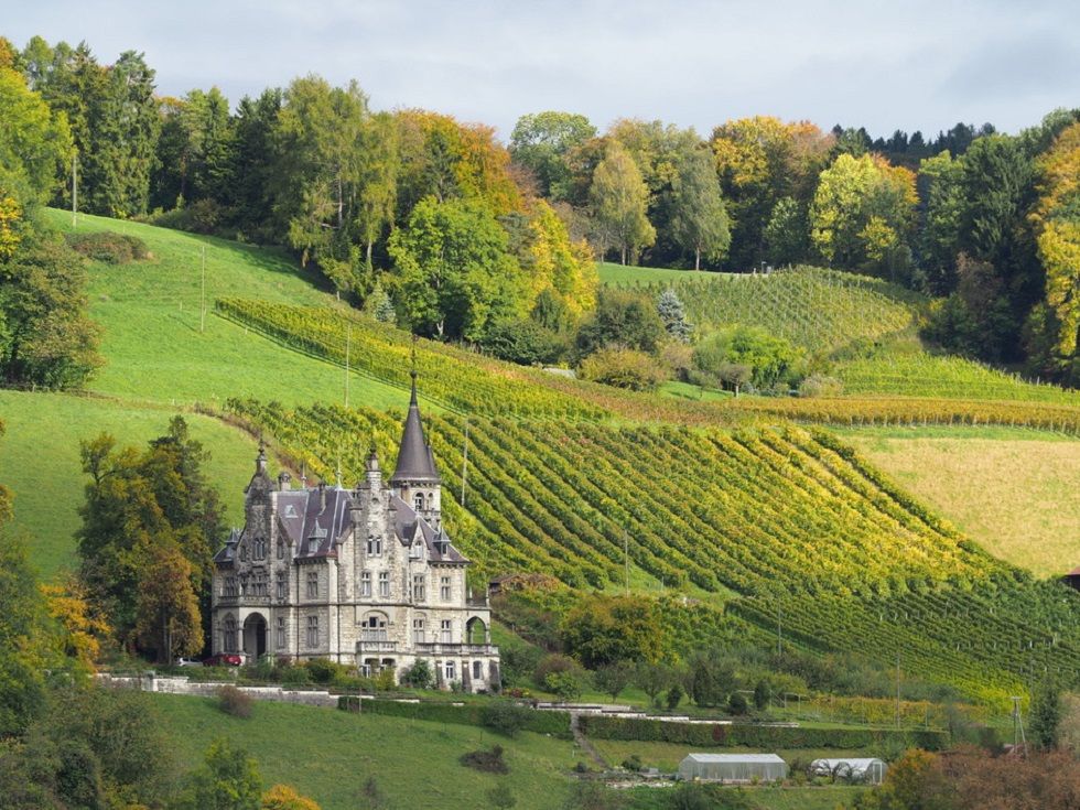 Neftenbach_ZH