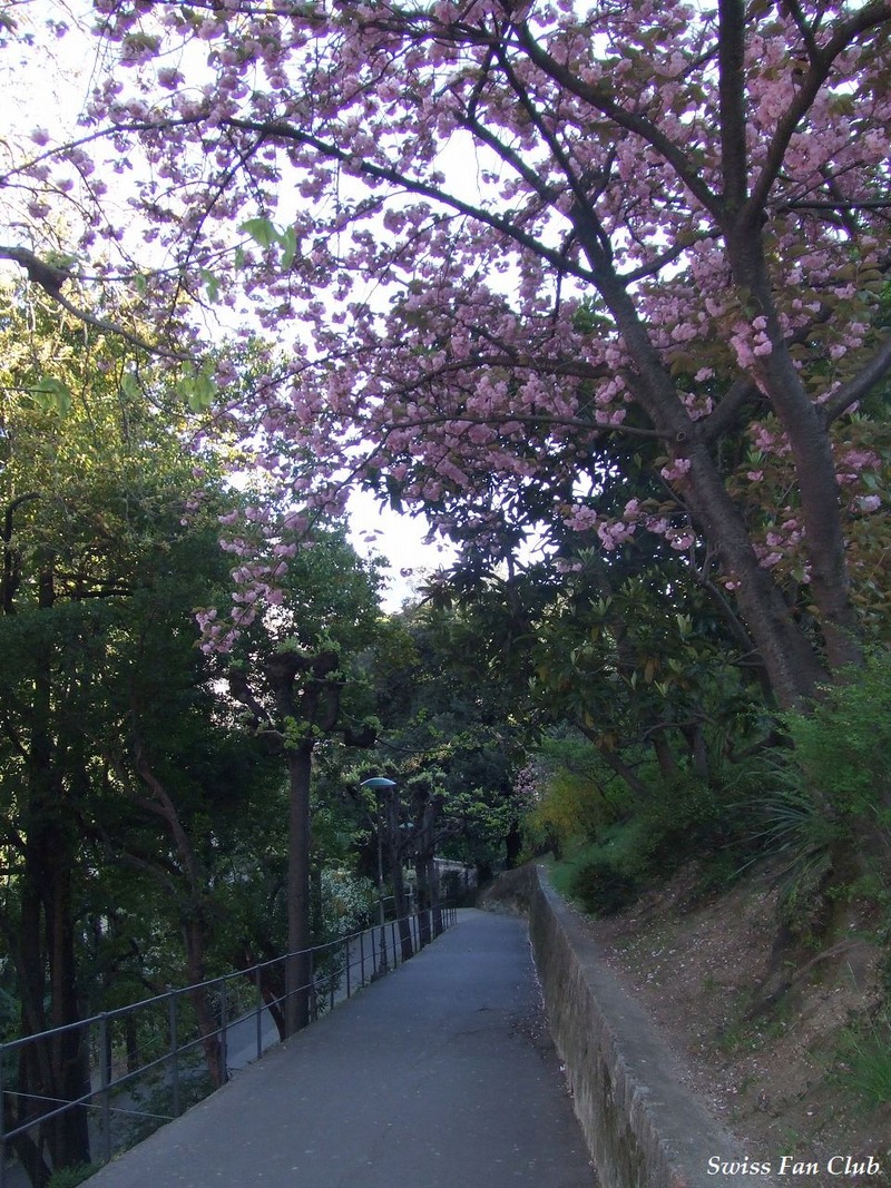 DSCF3242-s