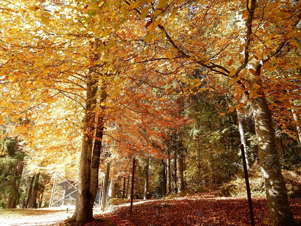 Caumasee_1