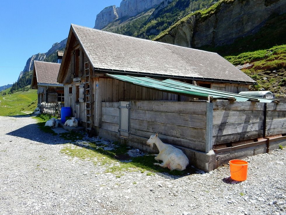 Furgglenalp