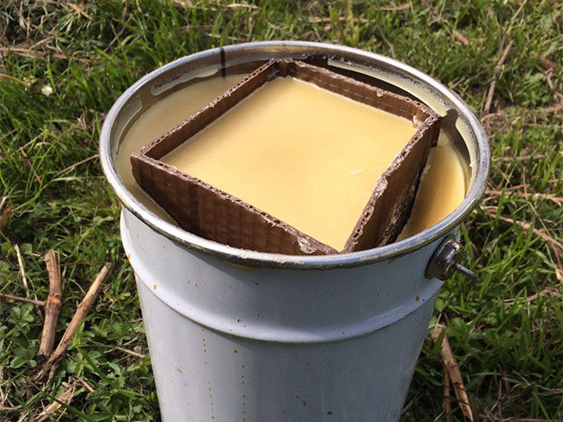 frostkerzen